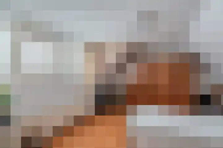 Engelkeslaan 13 Westerlee thumbnail 26