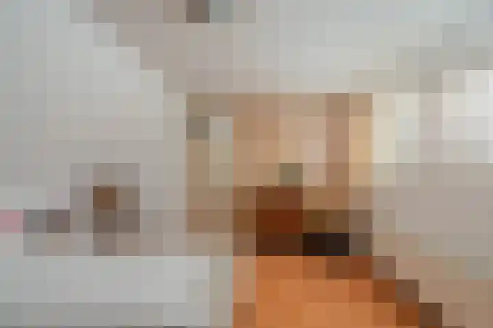 Engelkeslaan 13 Westerlee thumbnail 27