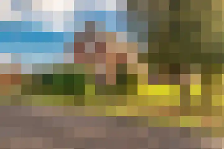 Engelkeslaan 13 Westerlee thumbnail 29