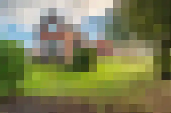 Engelkeslaan 13 Westerlee thumbnail 31