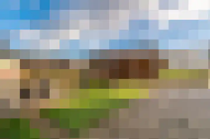 Engelkeslaan 13 Westerlee thumbnail 38