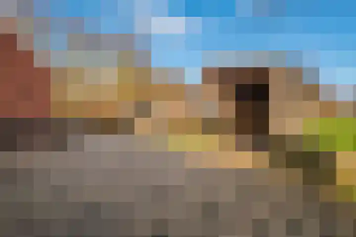 Engelkeslaan 13 Westerlee thumbnail 39