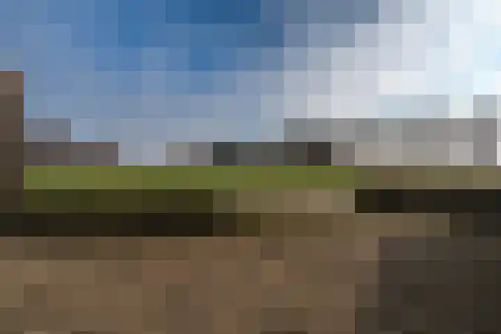 Engelkeslaan 13 Westerlee thumbnail 40