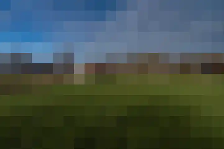 Engelkeslaan 13 Westerlee thumbnail 41