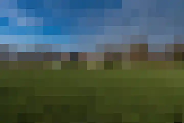 Engelkeslaan 13 Westerlee thumbnail 42