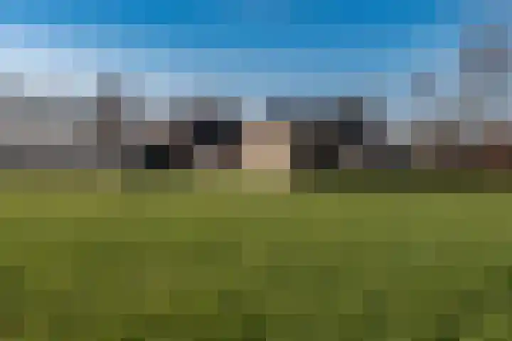 Engelkeslaan 13 Westerlee thumbnail 43