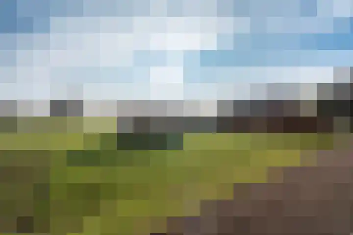 Engelkeslaan 13 Westerlee thumbnail 44