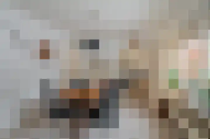 Engelkeslaan 13 Westerlee thumbnail 8