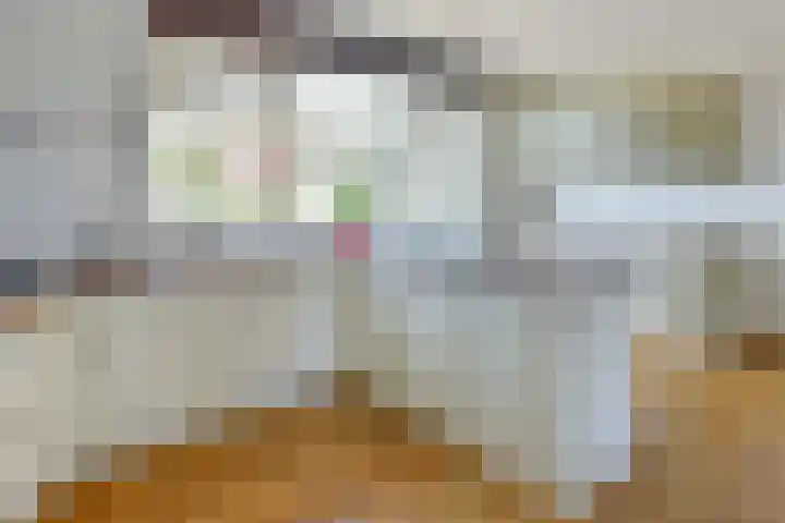 Engellaan 1 Amstelhoek thumbnail 11