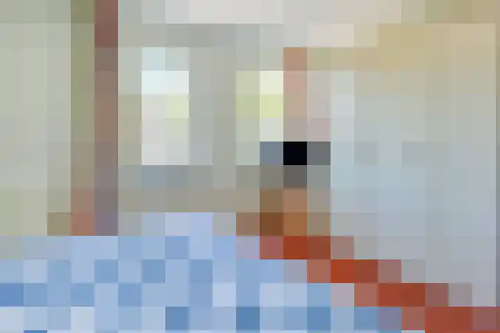 Engellaan 1 Amstelhoek thumbnail 23