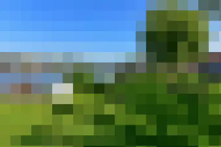 Engellaan 1 Amstelhoek thumbnail 31