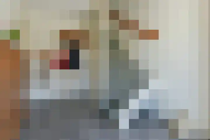 Engellaan 1 Amstelhoek thumbnail 9