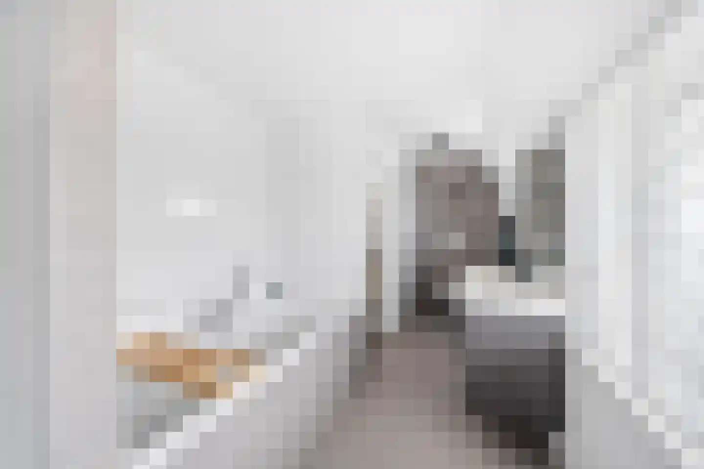 Engelmanstraat 2 Hoofddorp thumbnail 26