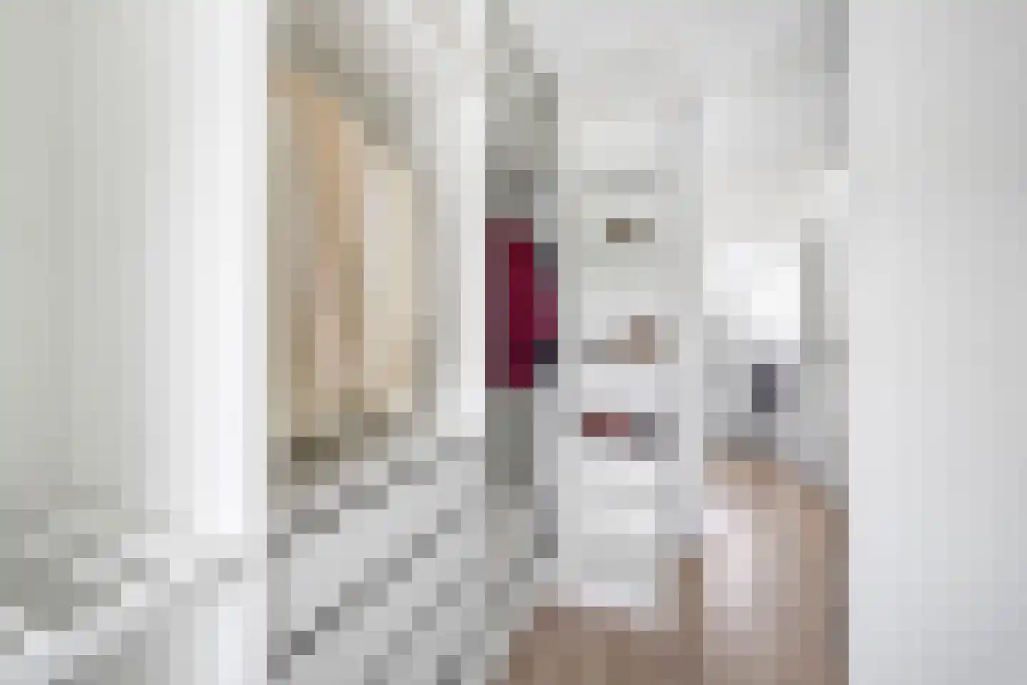Engelmanstraat 2 Hoofddorp thumbnail 31