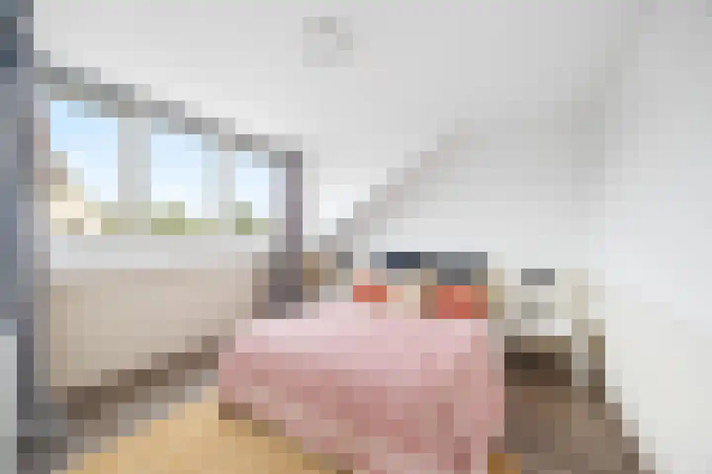 Engelmanstraat 2 Hoofddorp thumbnail 35