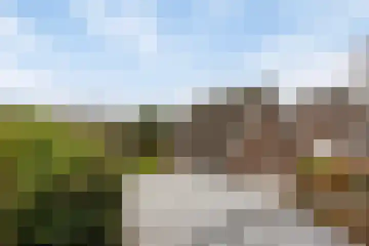 Engelmanstraat 25 b Neer thumbnail 31