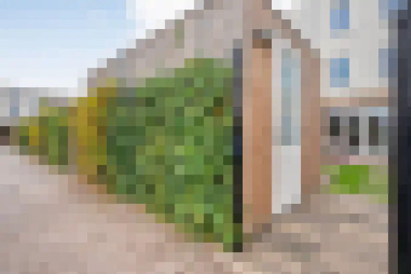 Engelradinkstraat 108 Zwolle thumbnail 28