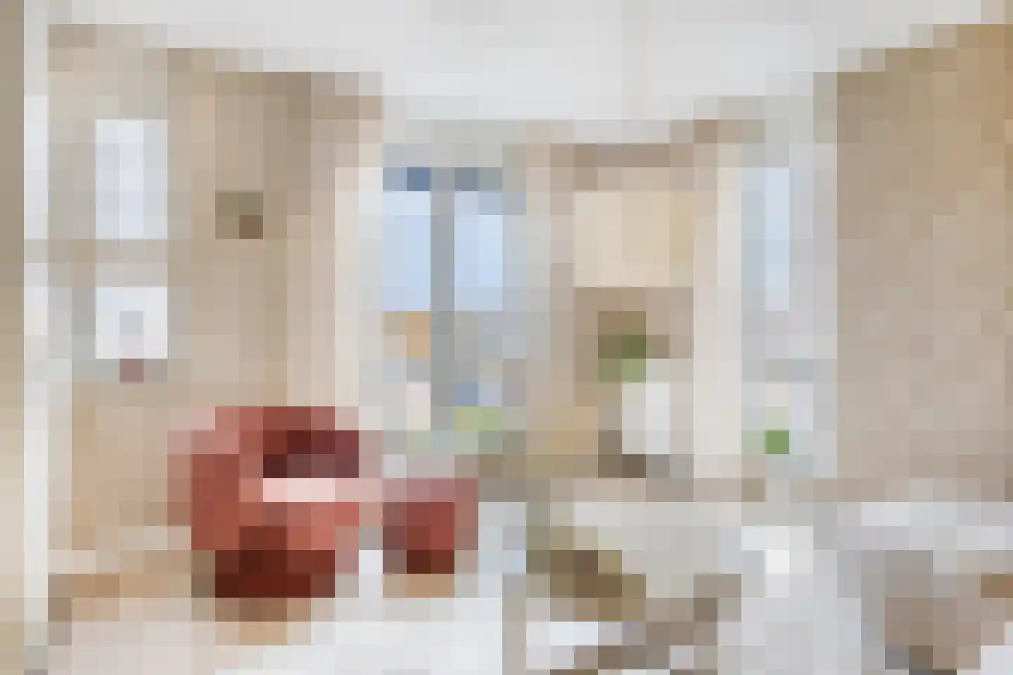 Engelradinkstraat 39 Zwolle thumbnail 4
