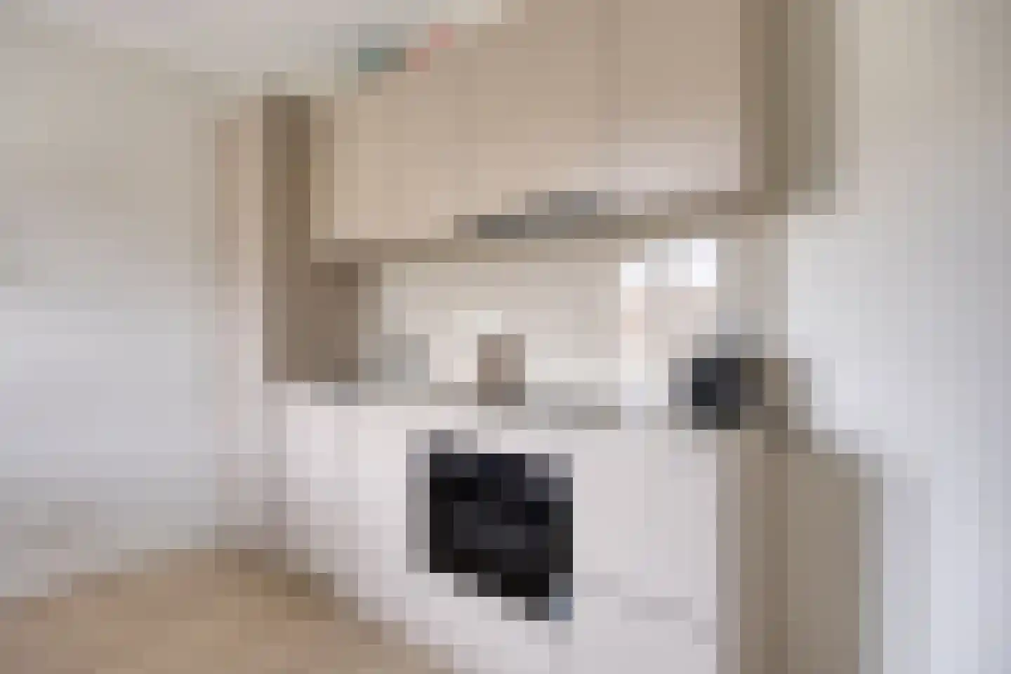 Engelradinkstraat 39 Zwolle thumbnail 8