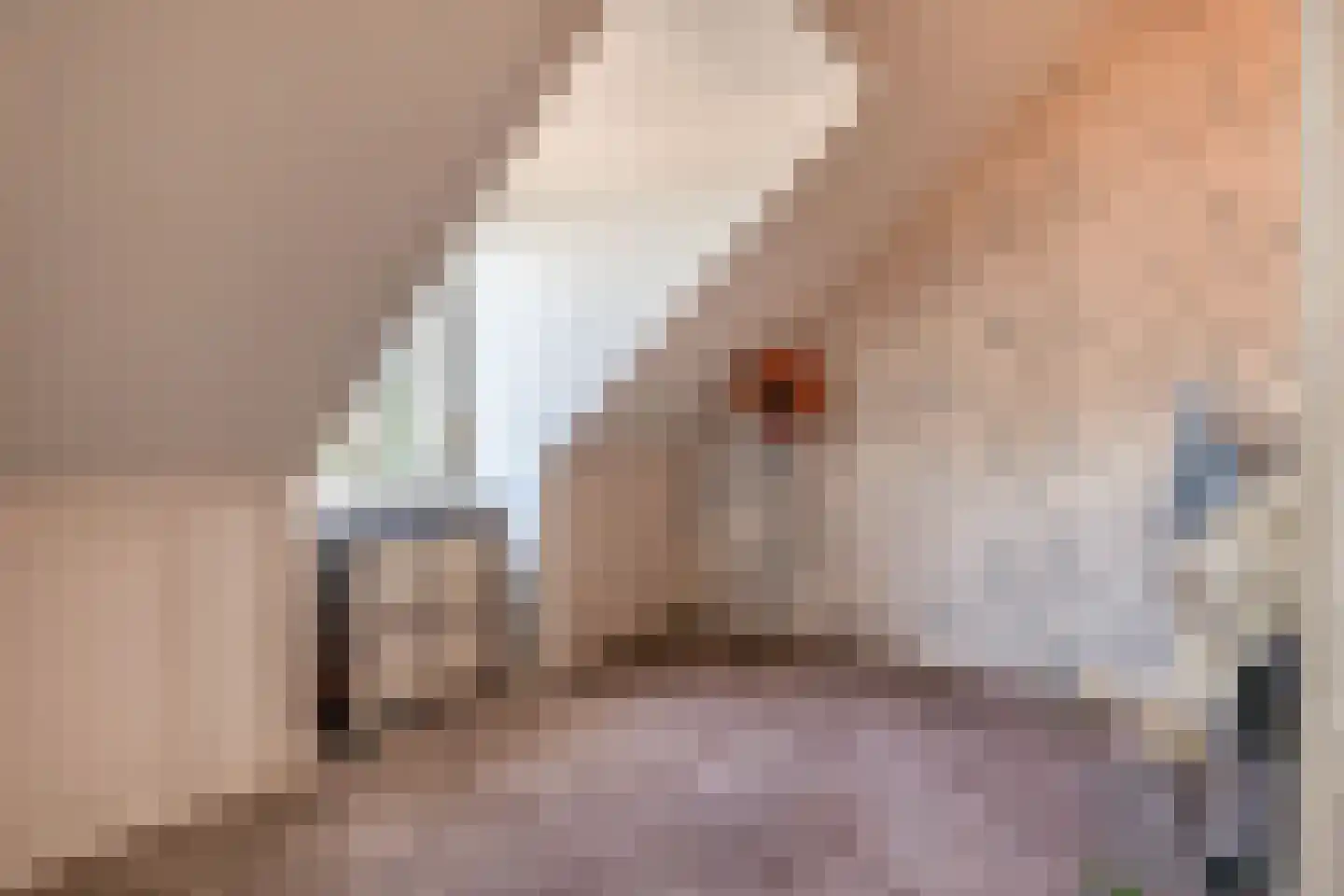 Engels Dorp 22 Kruisland thumbnail 34