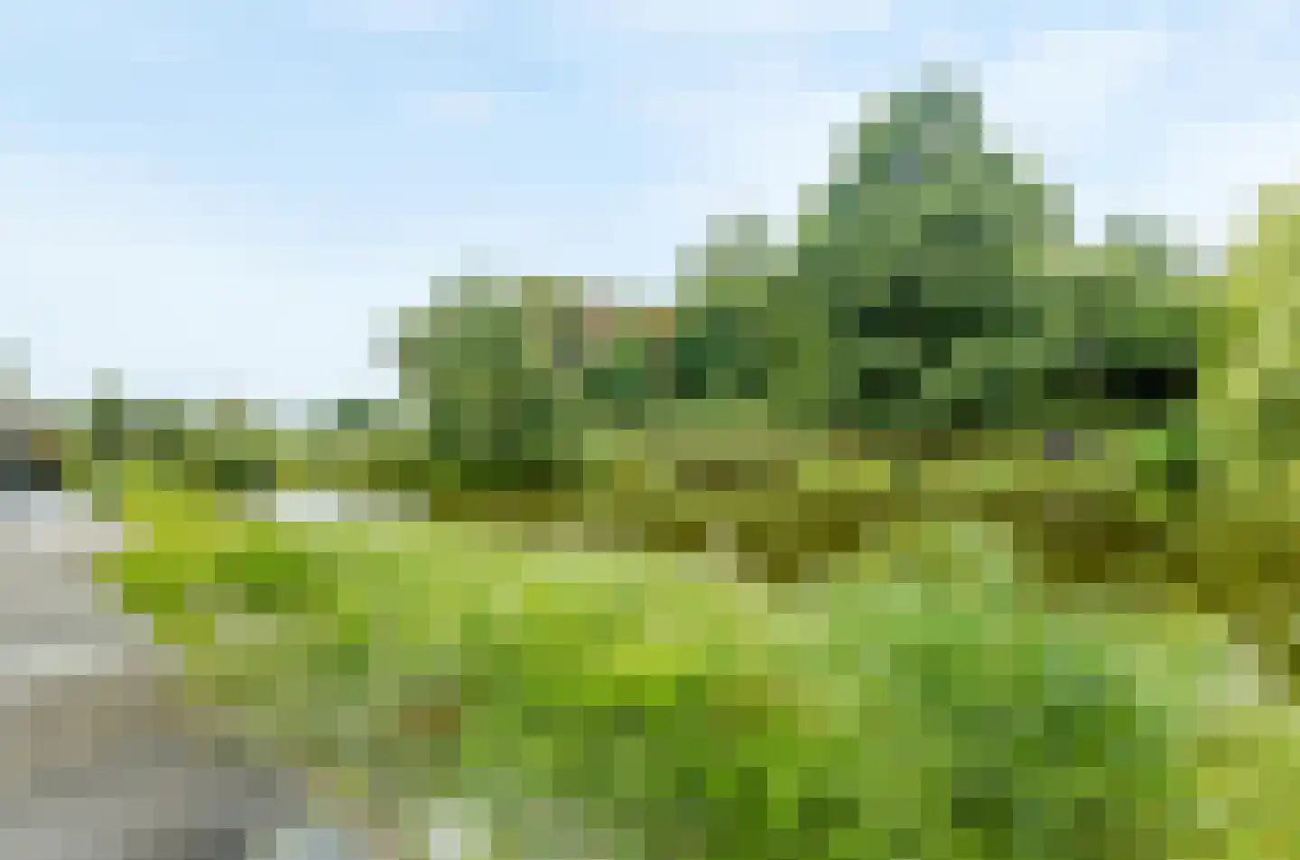 Engels Gras 48 Velserbroek thumbnail 31