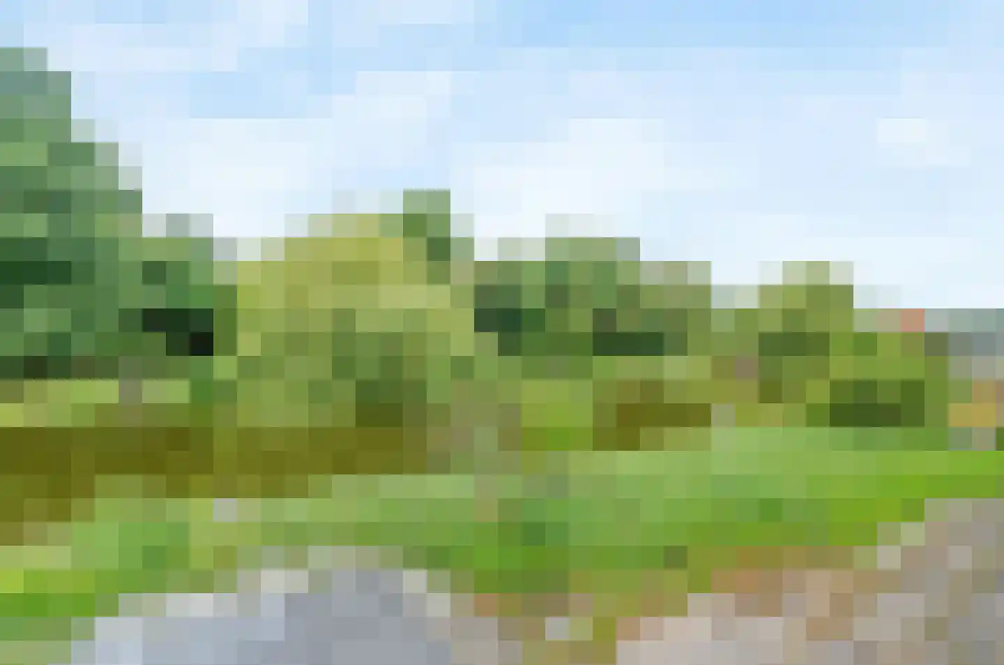 Engels Gras 48 Velserbroek thumbnail 32