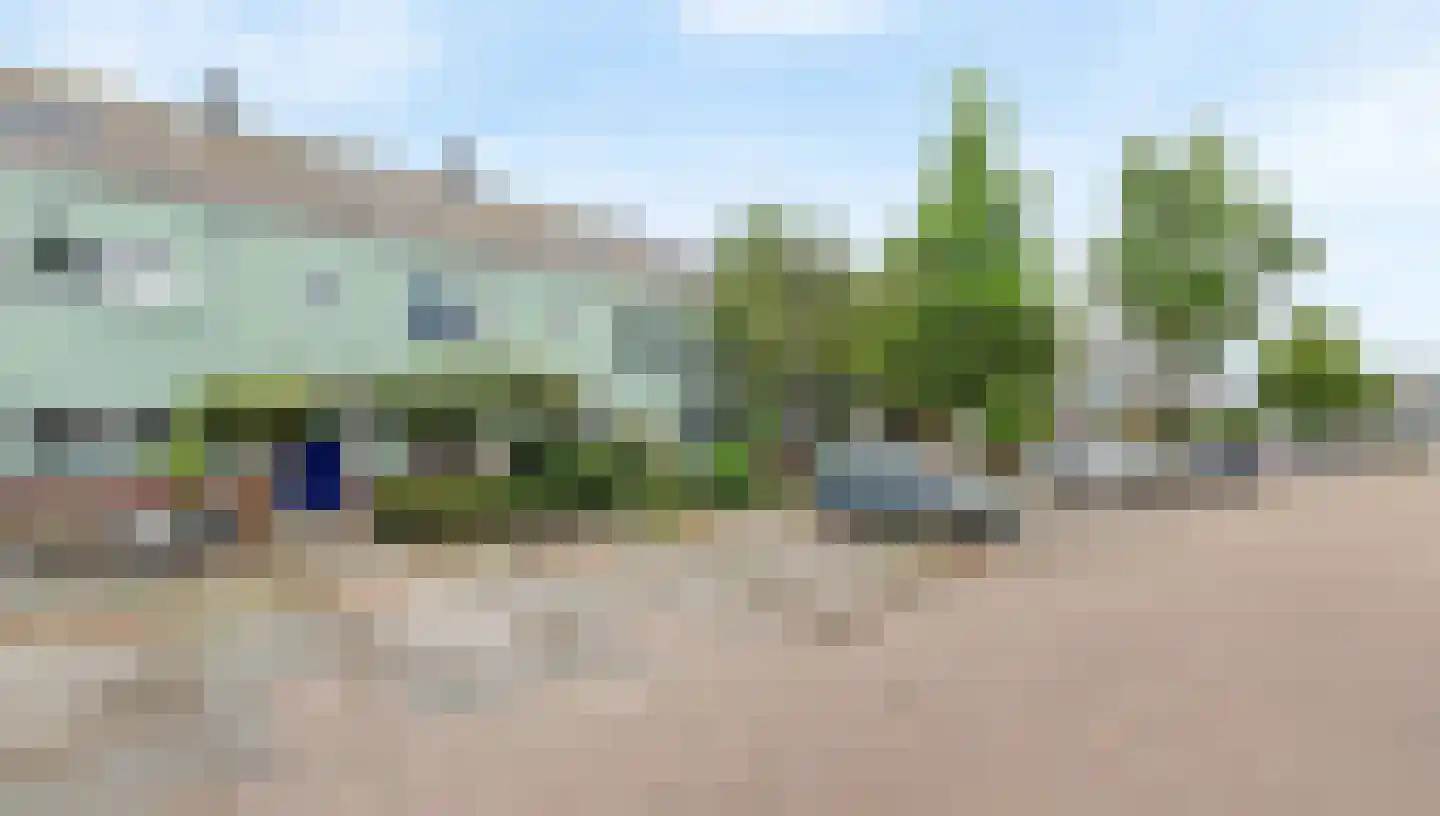 Engels Gras 48 Velserbroek thumbnail 34