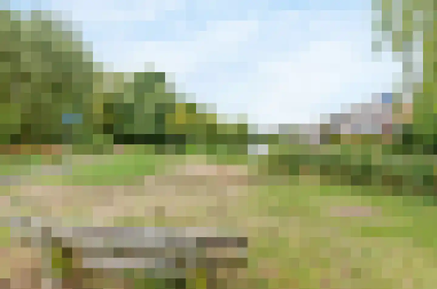Engels Gras 48 Velserbroek thumbnail 35