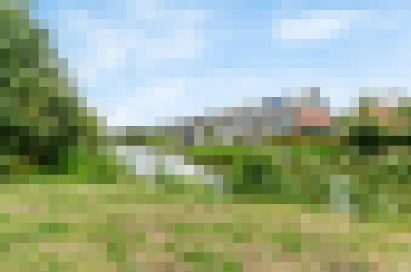 Engels Gras 48 Velserbroek thumbnail 36