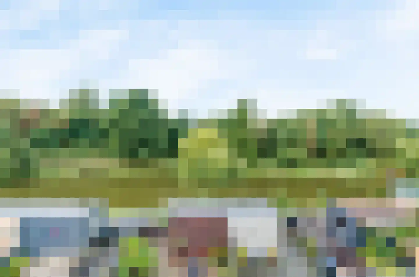 Engels Gras 48 Velserbroek thumbnail 4