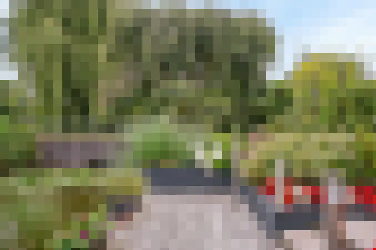 Engels Gras 60 Velserbroek thumbnail 16