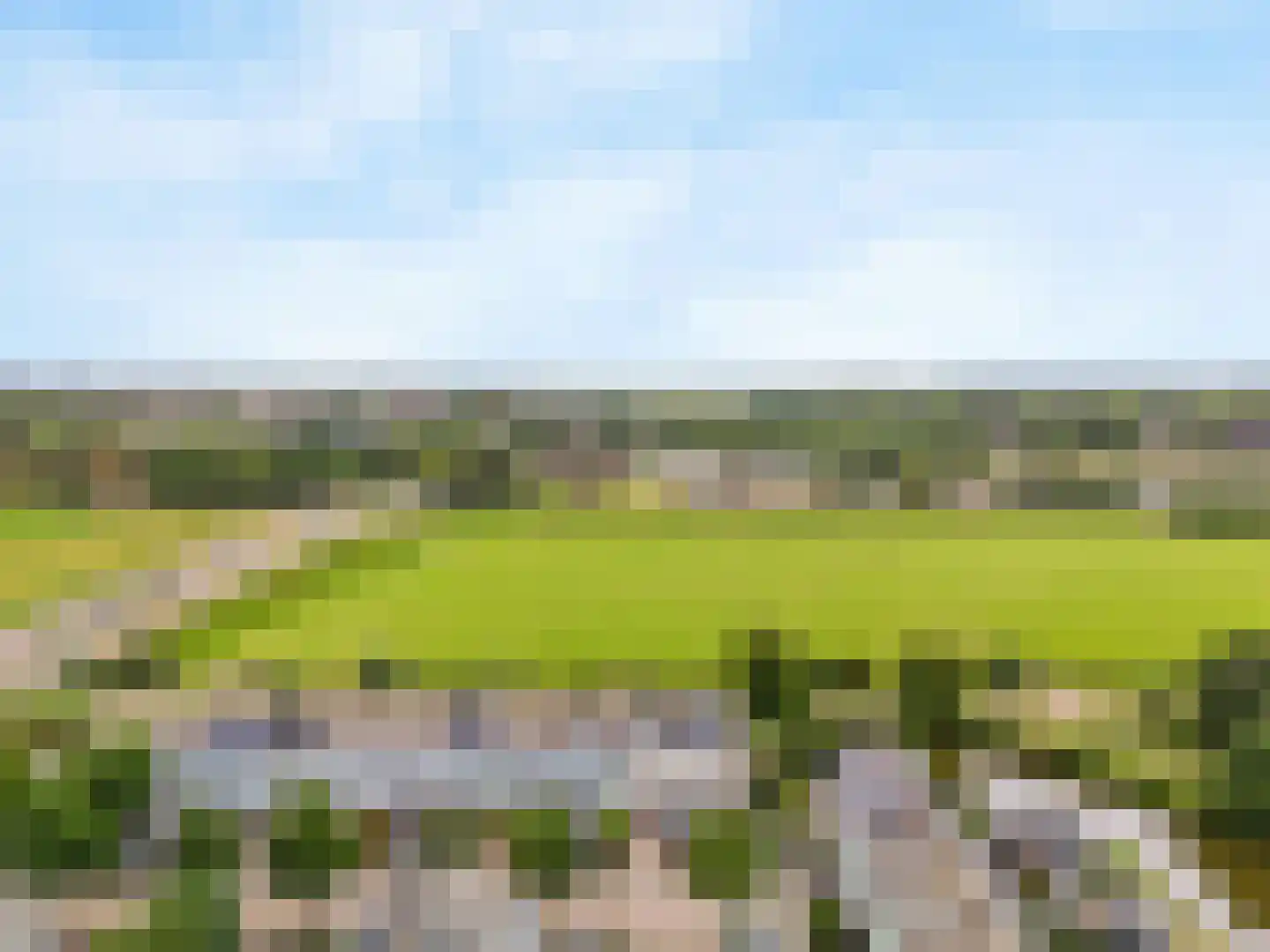 Engels Gras 60 Velserbroek thumbnail 23