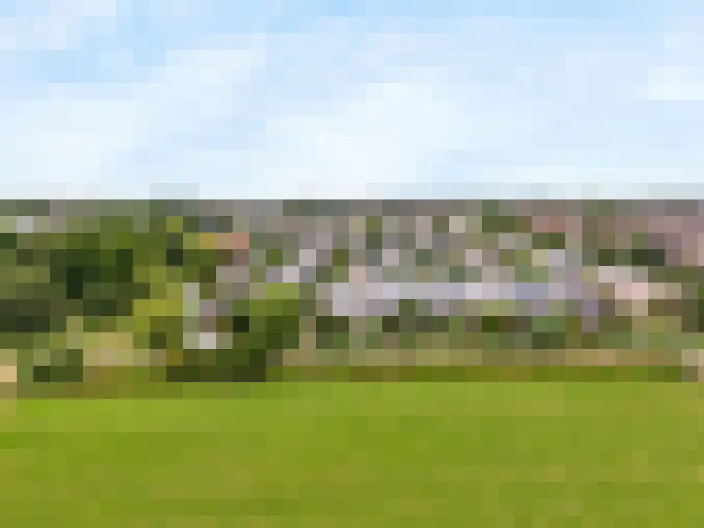 Engels Gras 60 Velserbroek thumbnail 24
