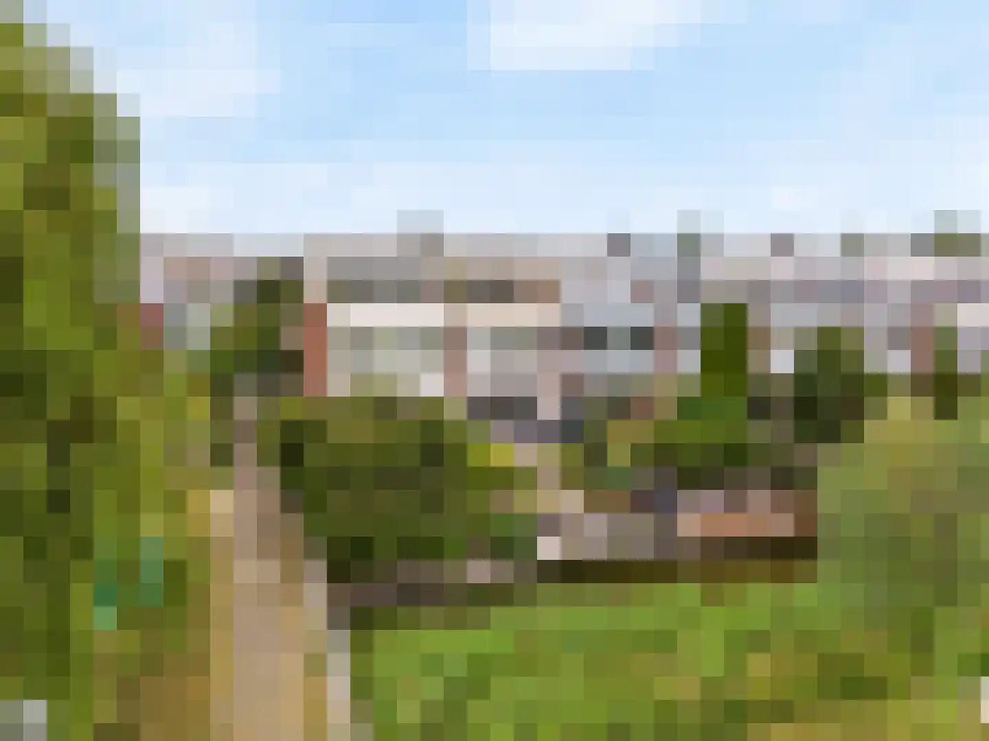 Engels Gras 60 Velserbroek thumbnail 25