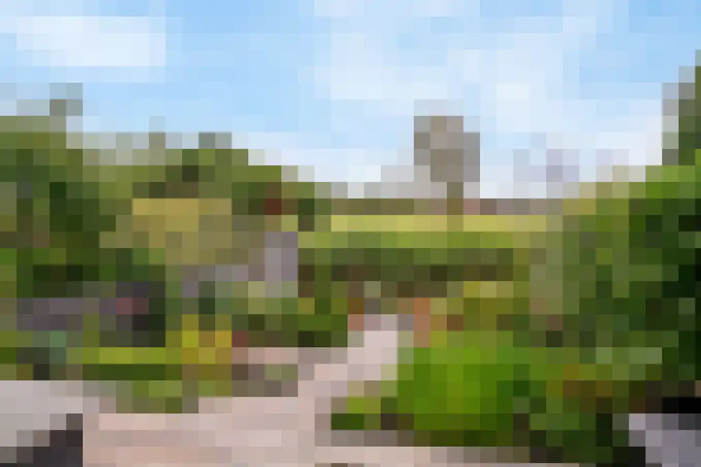 Engels Gras 60 Velserbroek thumbnail 26