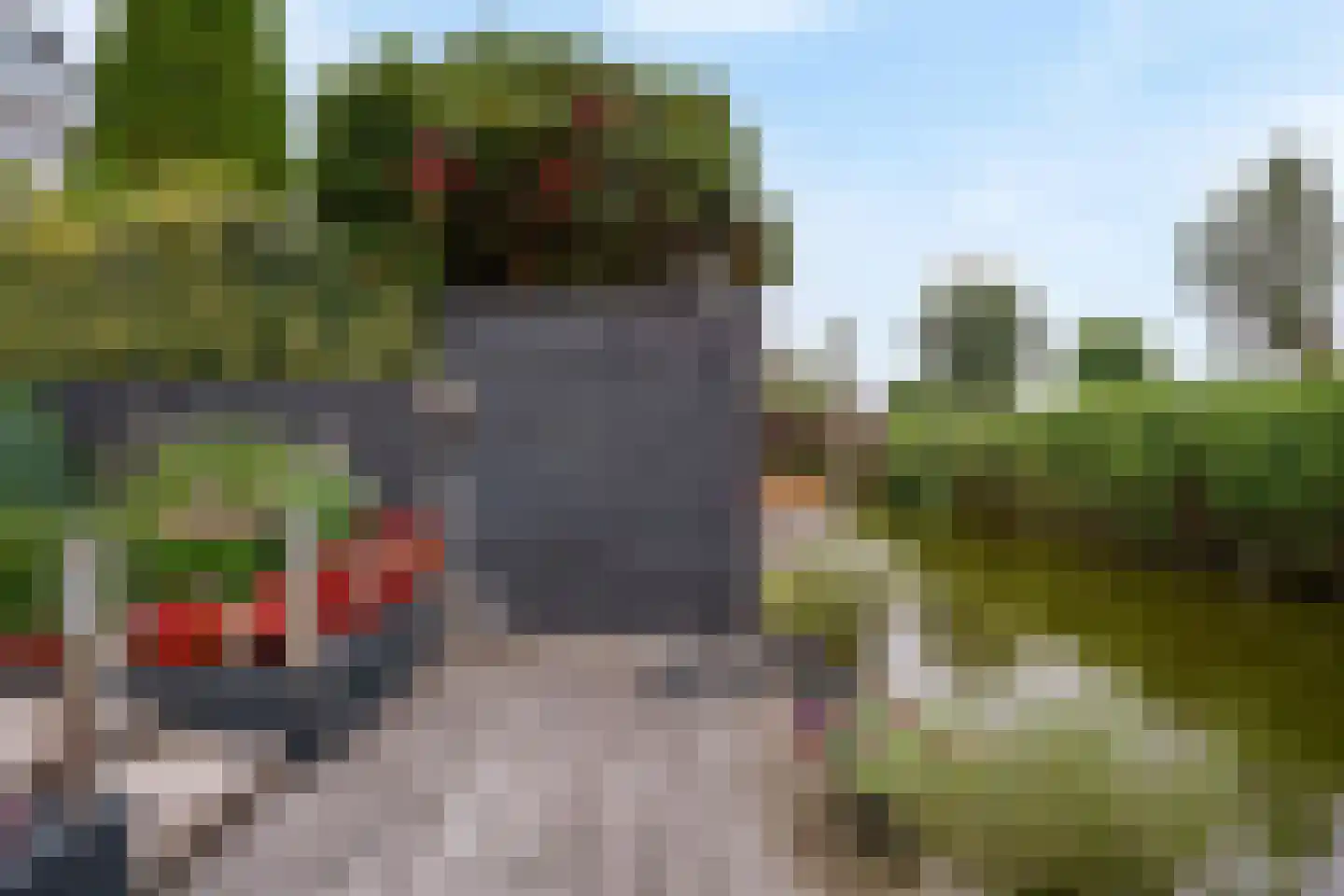 Engels Gras 60 Velserbroek thumbnail 30
