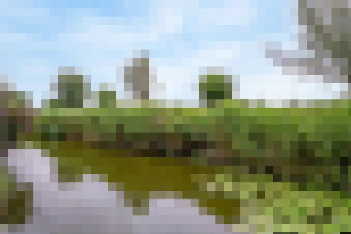 Engels Gras 60 Velserbroek thumbnail 31
