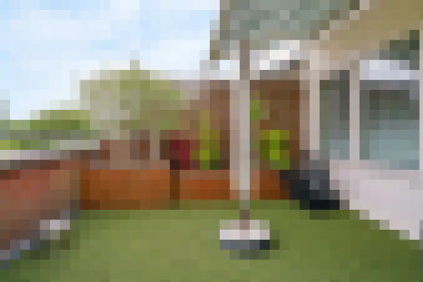 Engels Gras 60 Velserbroek thumbnail 32