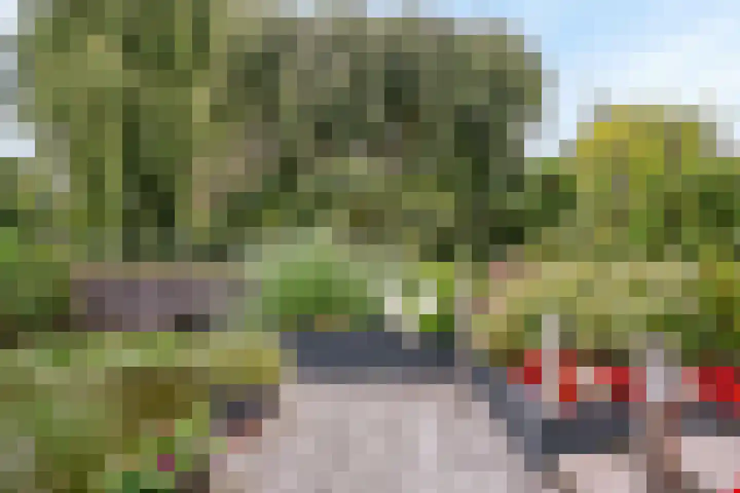 Engels Gras 60 Velserbroek thumbnail 33