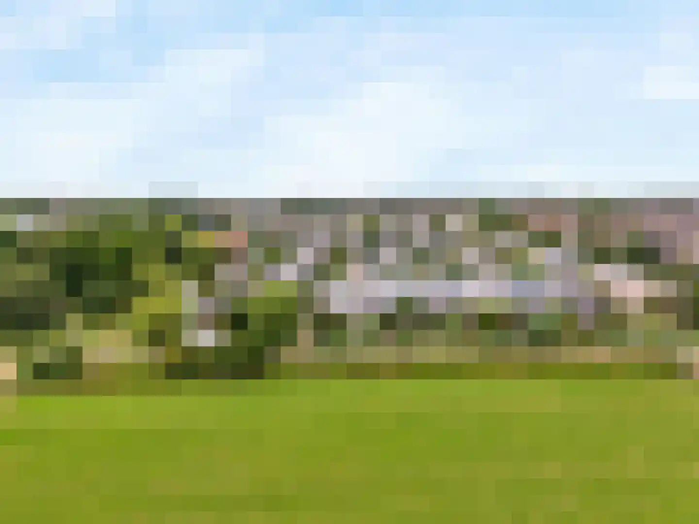Engels Gras 60 Velserbroek thumbnail 33