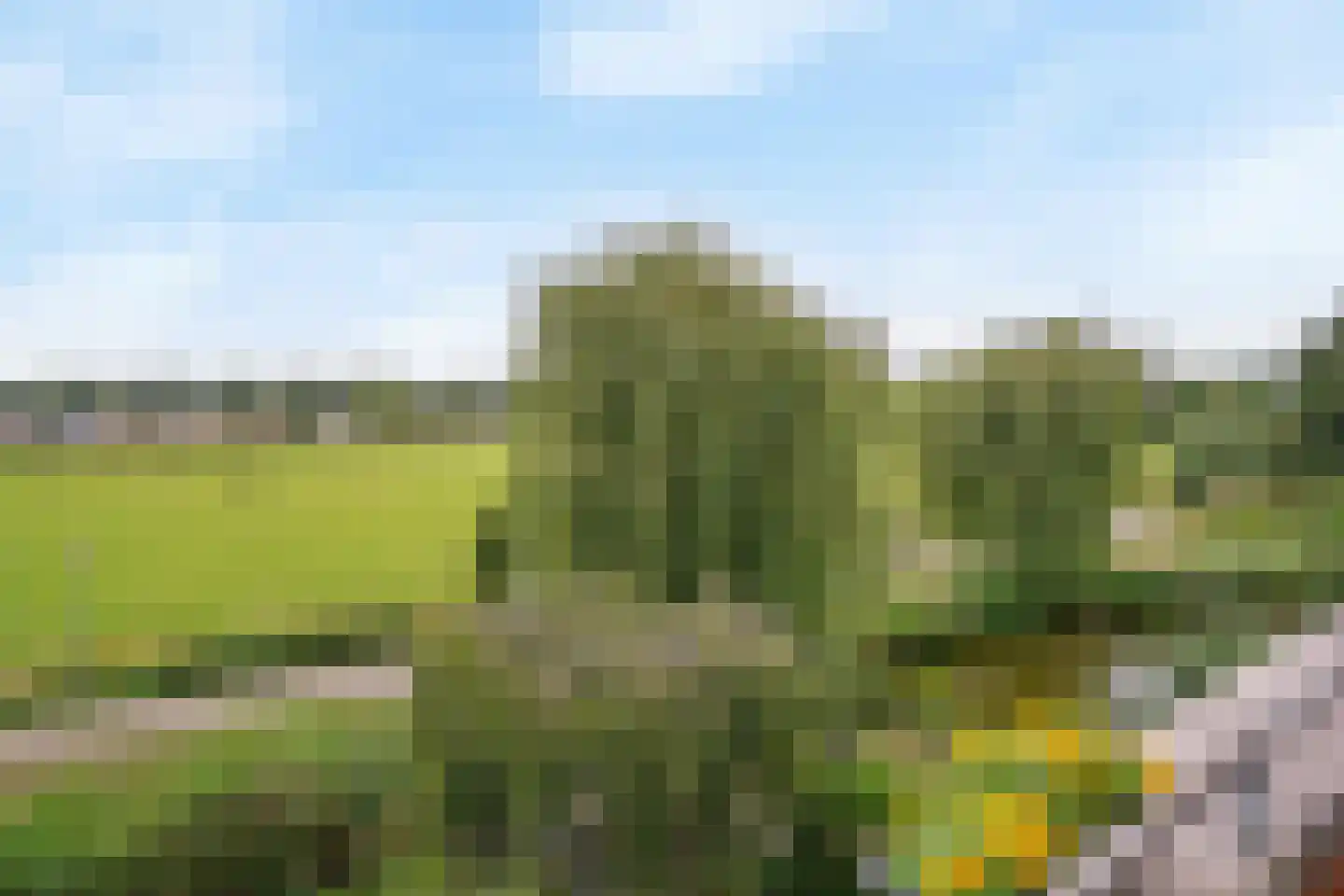 Engels Gras 60 Velserbroek thumbnail 37