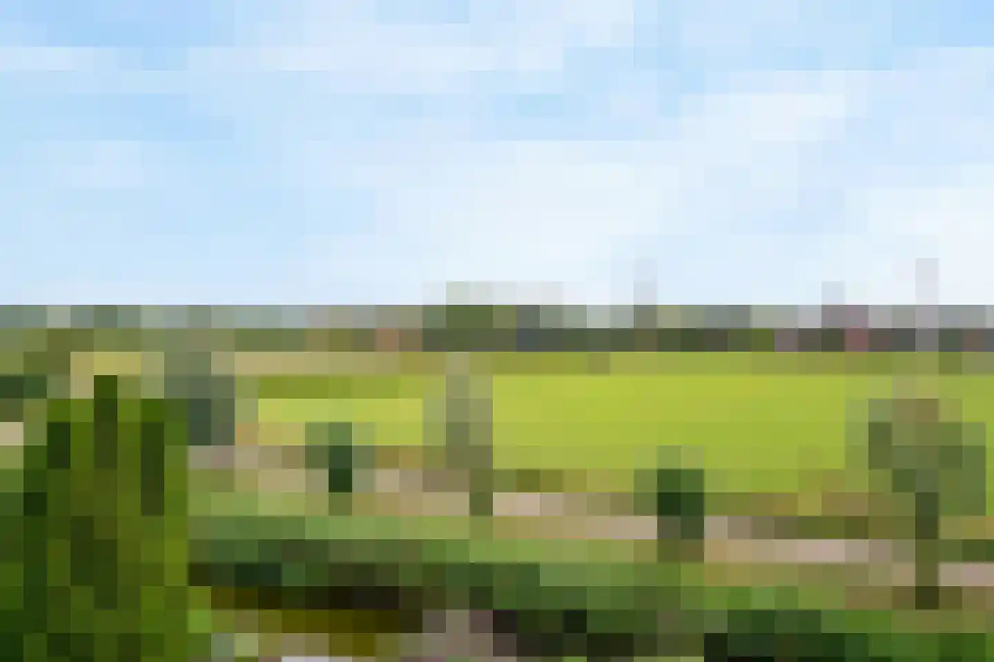 Engels Gras 60 Velserbroek thumbnail 38
