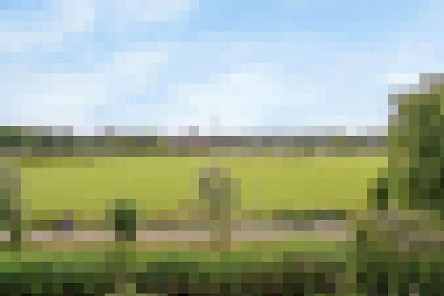 Engels Gras 60 Velserbroek thumbnail 39