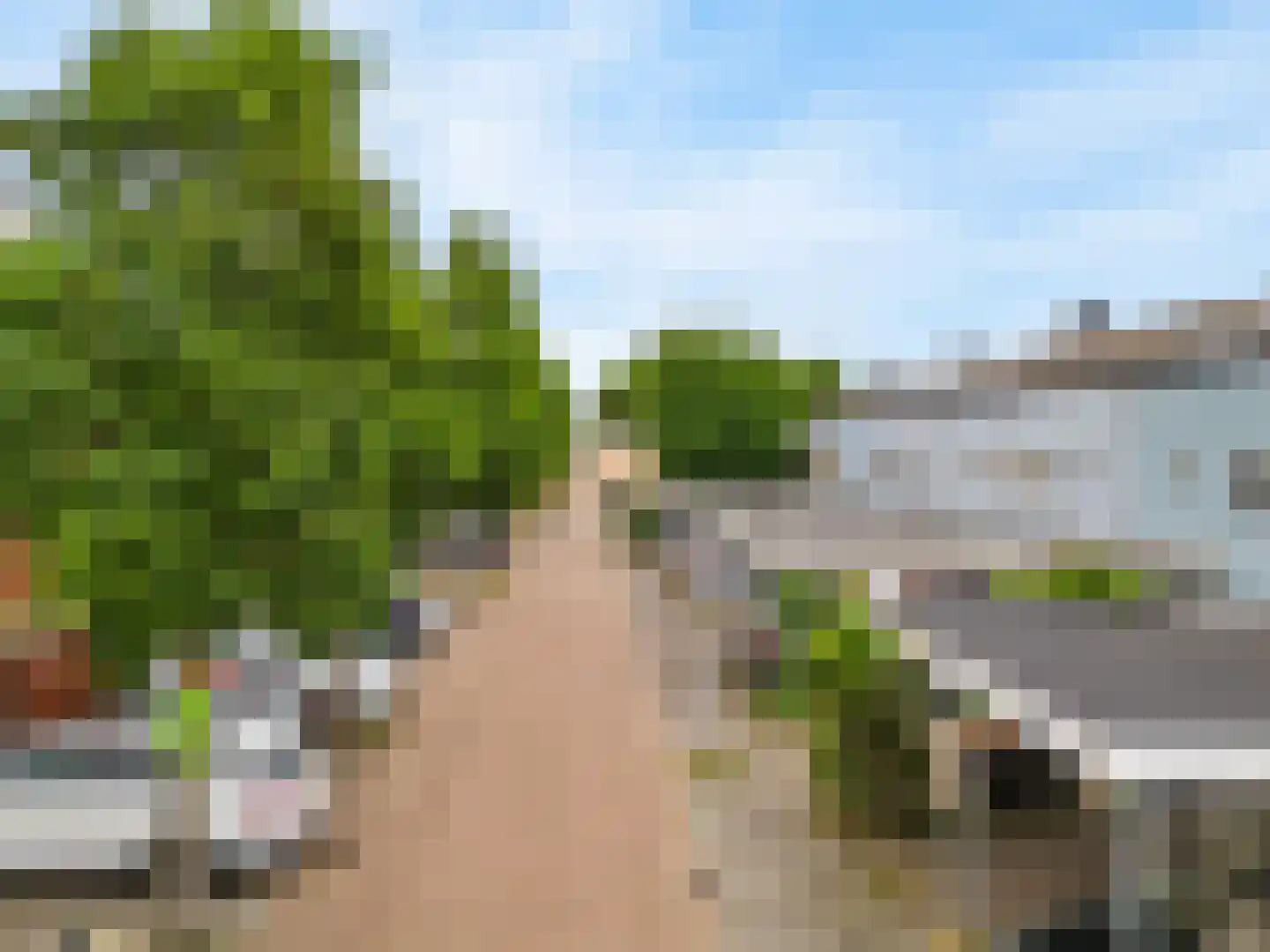 Engels Gras 60 Velserbroek thumbnail 43