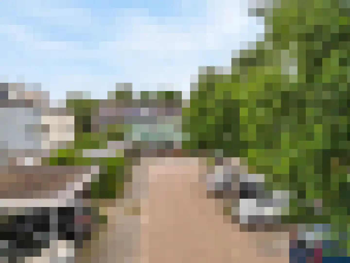 Engels Gras 60 Velserbroek thumbnail 44