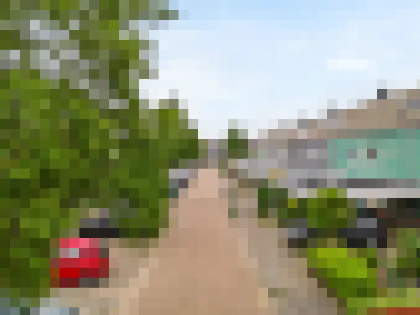 Engels Gras 60 Velserbroek thumbnail 45