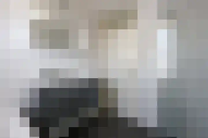 Engelsbergenstraat 39 Eindhoven thumbnail 30