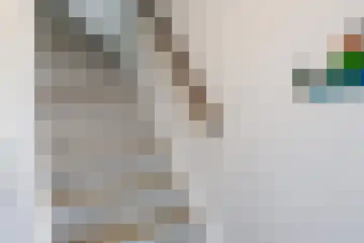 Engelsbergenstraat 39 Eindhoven thumbnail 7