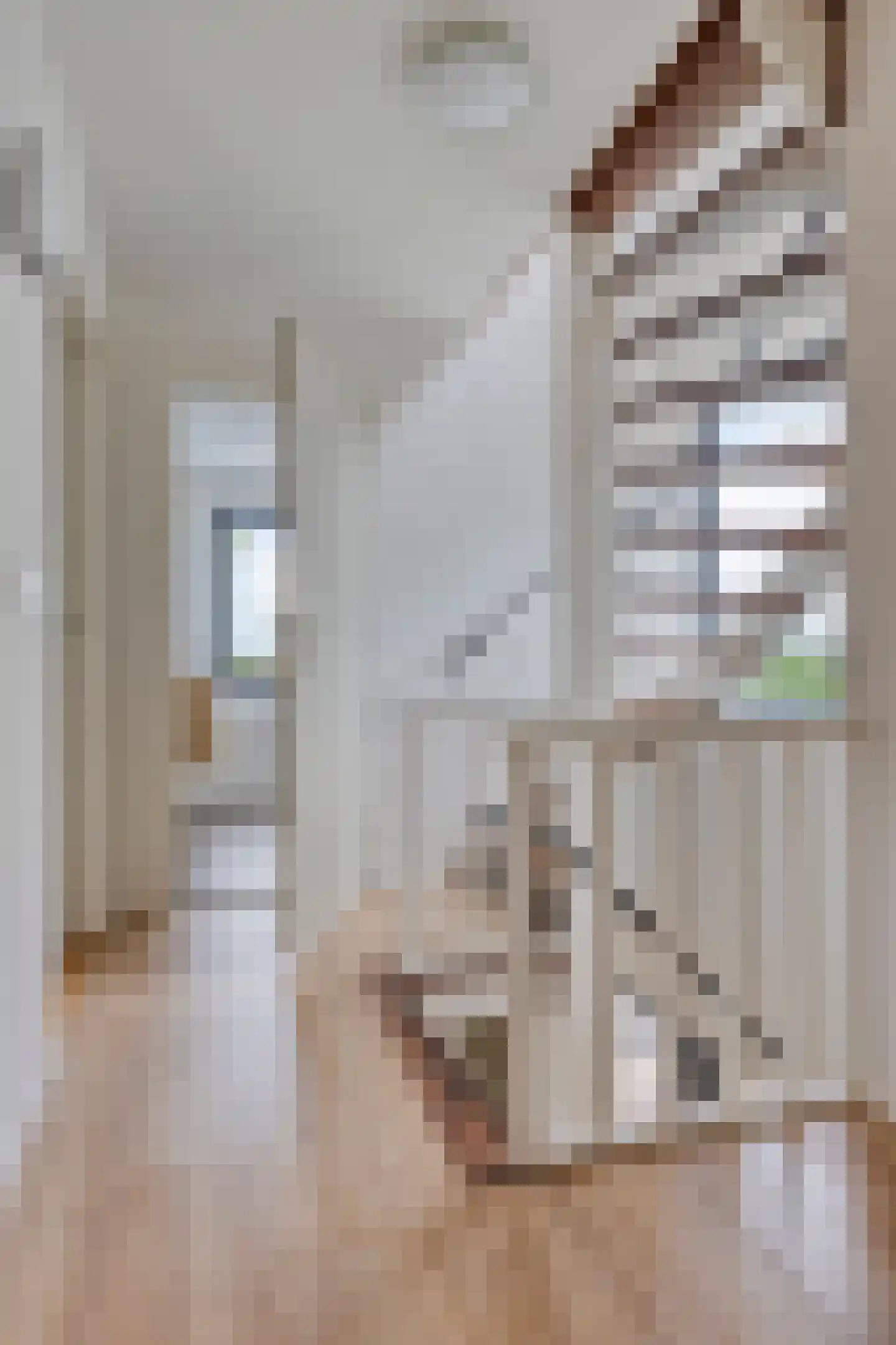 Engelsbergenstraat 52 Eindhoven thumbnail 21