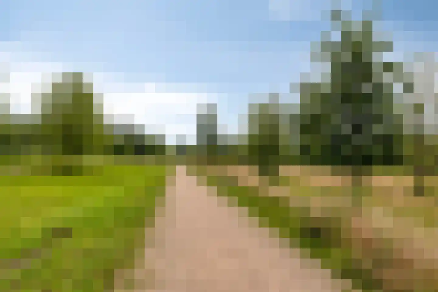 Engelsbergenstraat 52 Eindhoven thumbnail 44